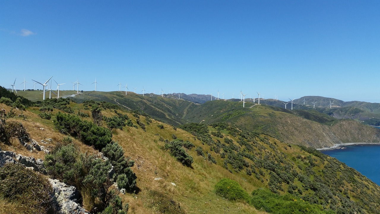 makara  wellington  wind turbines free photo