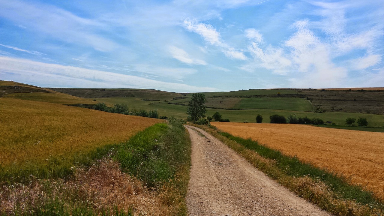 make a pilgrimage  jakobsweg  nature free photo