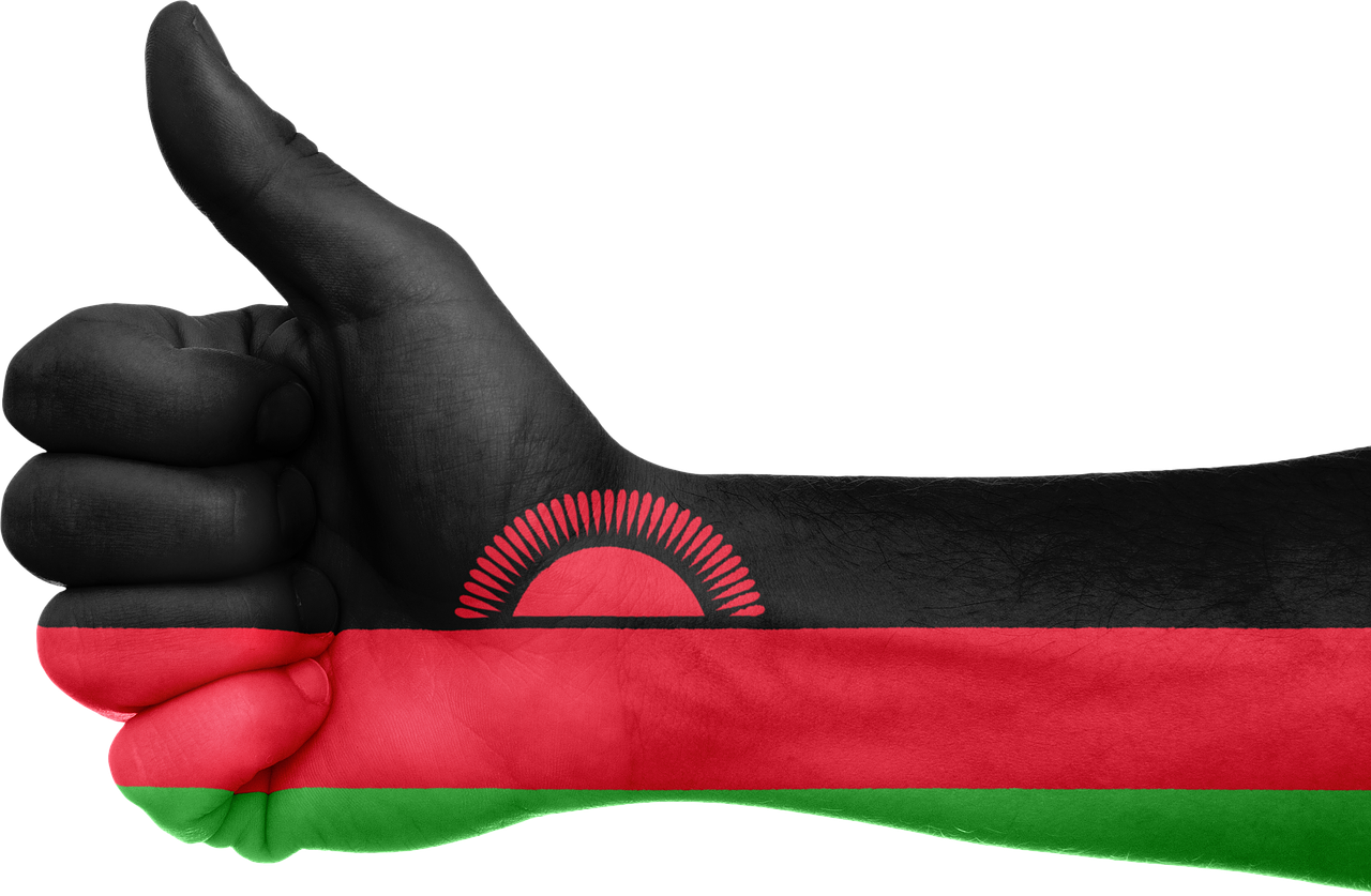 malawi flag hand free photo