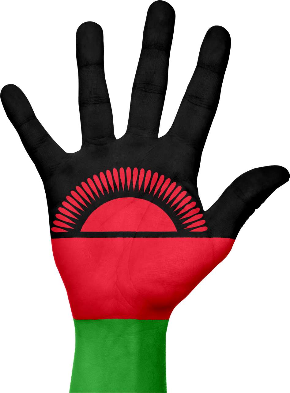 malawi flag hand free photo