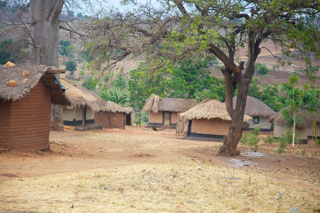 malawi africa village free photo