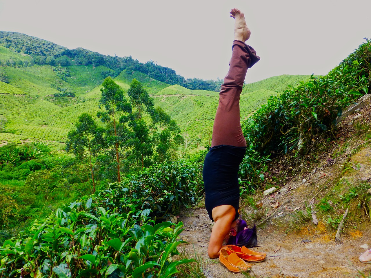 malaysia yoga headstand free photo