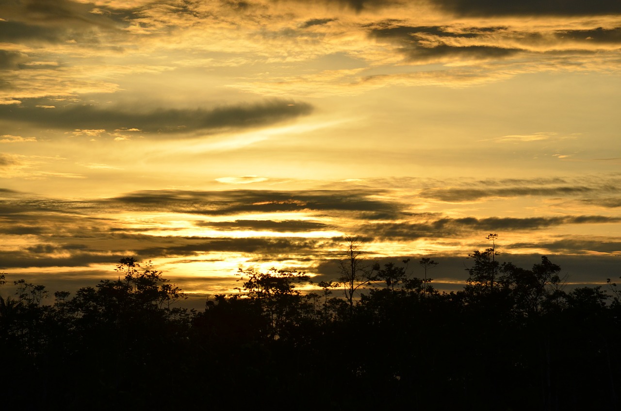 malaysia kota kinabalu sunset free photo