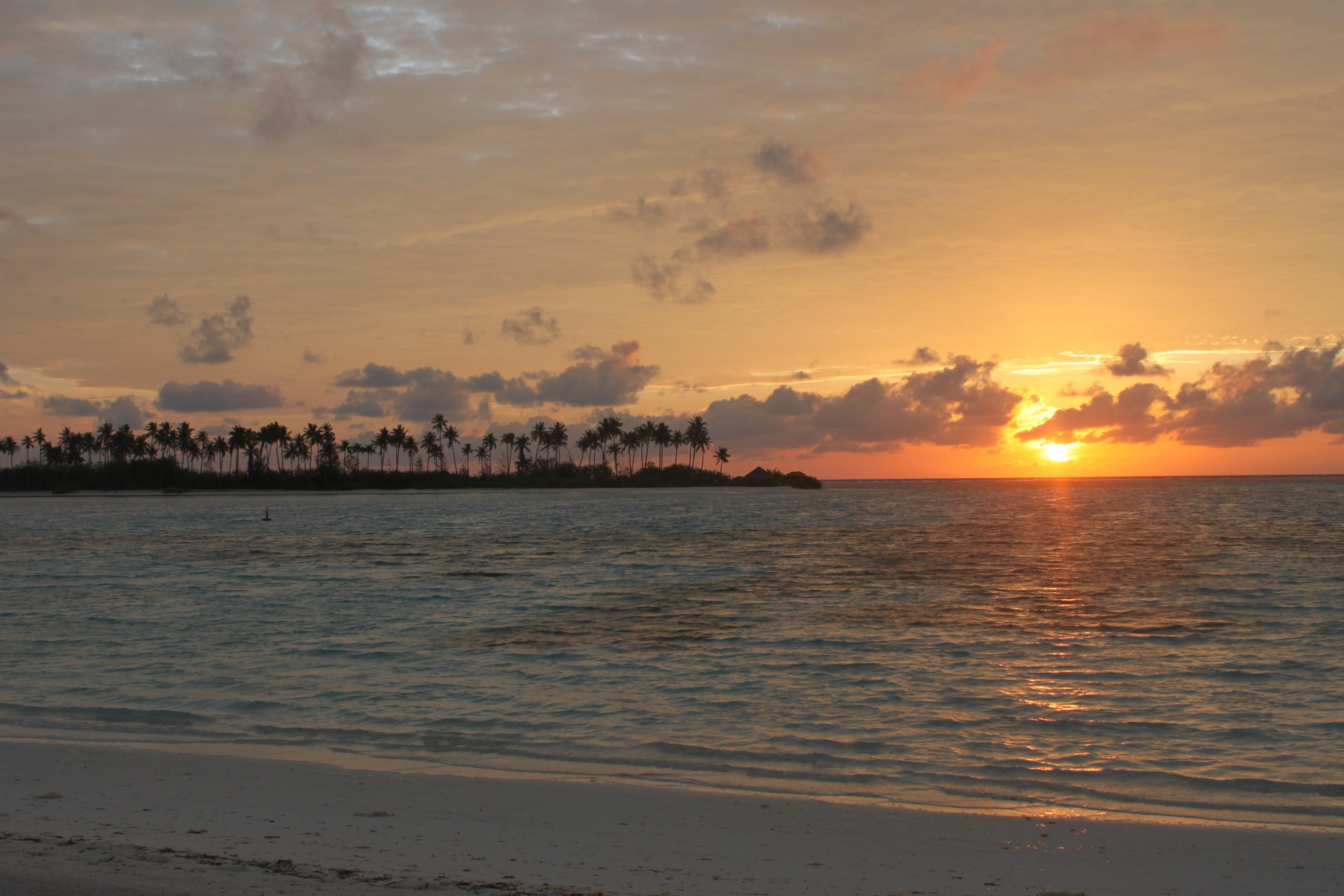 maldive 2014 olhuveli free photo