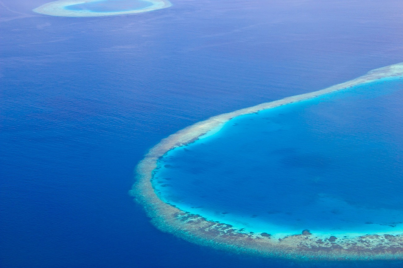 maldives island ocean free photo
