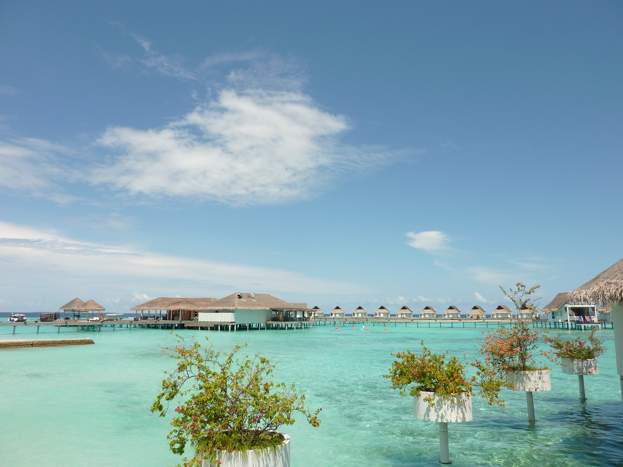maldives travel resort free photo