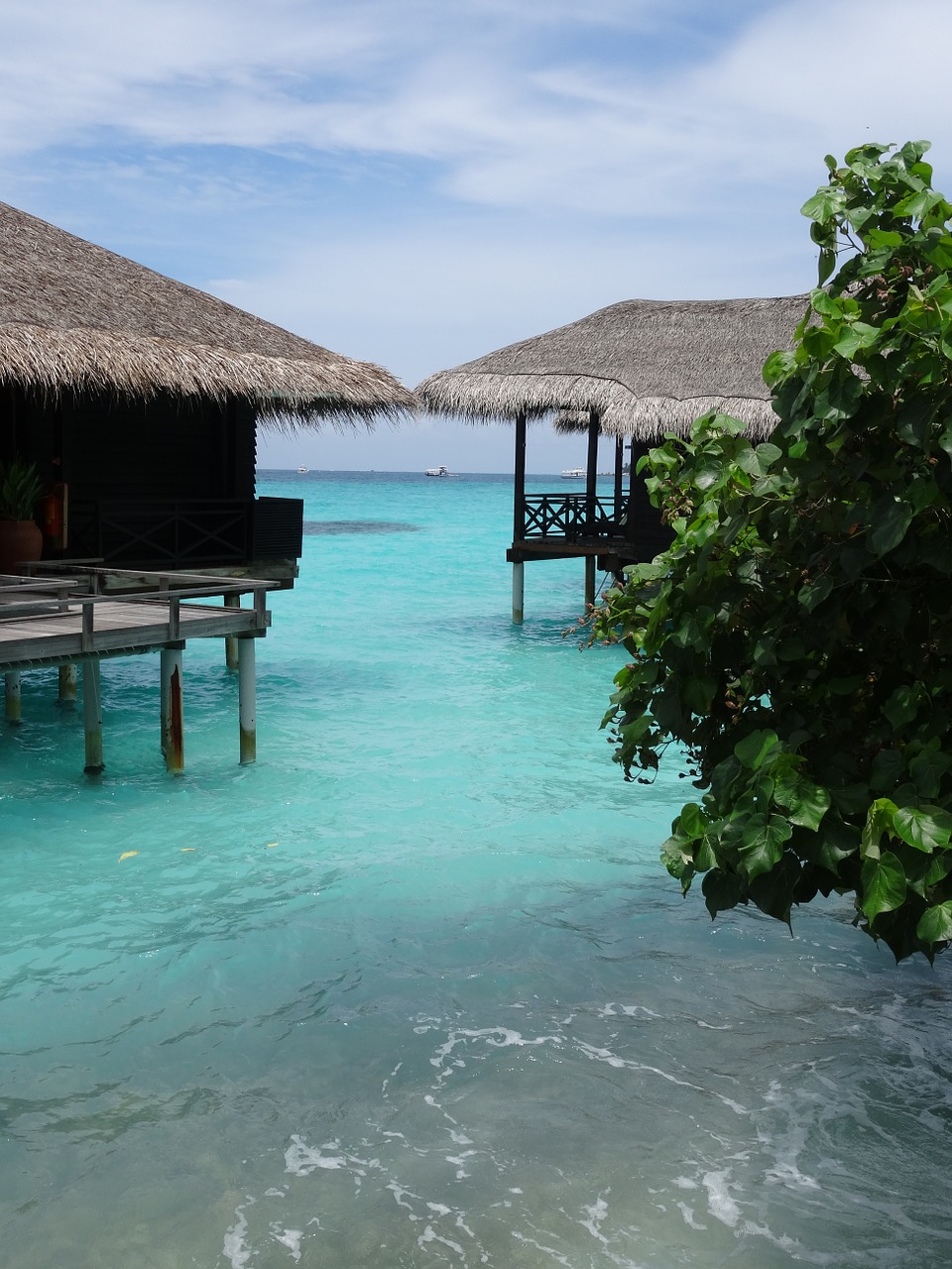 maldives ocean ile free photo