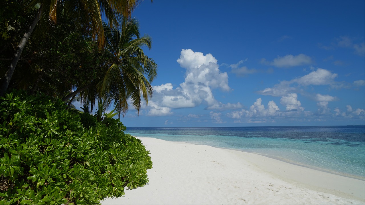 maldives holiday sea free photo