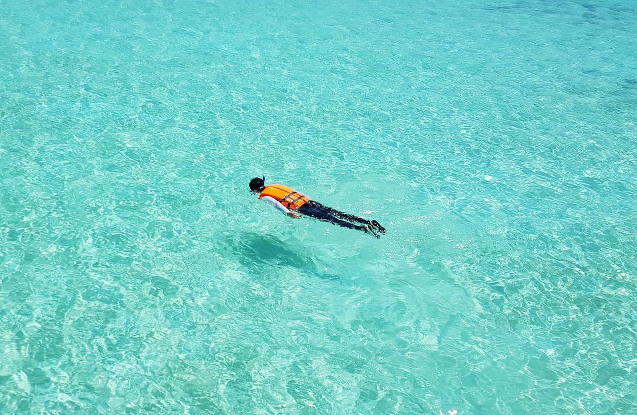 maldives snorkeling swimming free photo