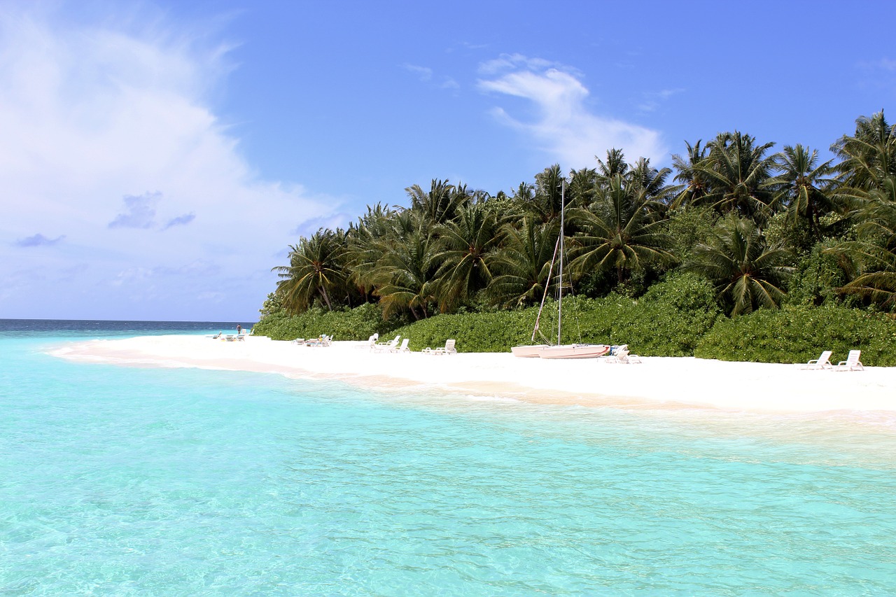 maldives beach sea free photo