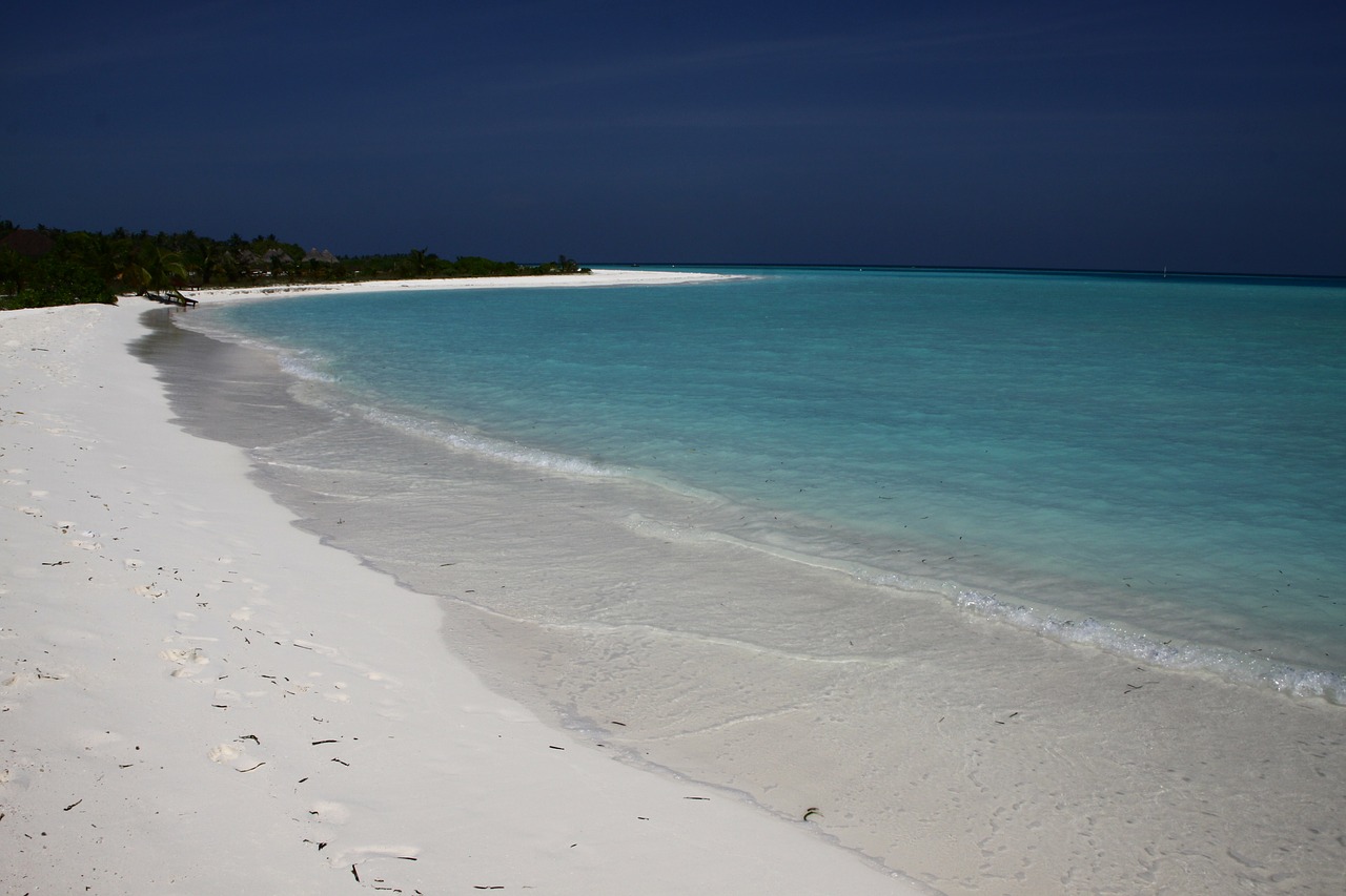 maldives beach water free photo