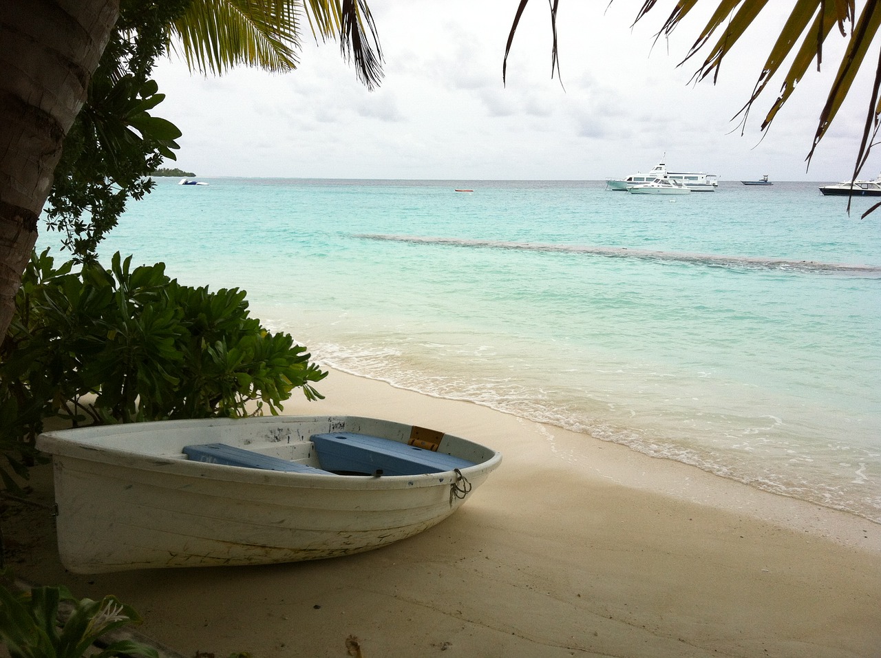 maldives landscape beach free photo