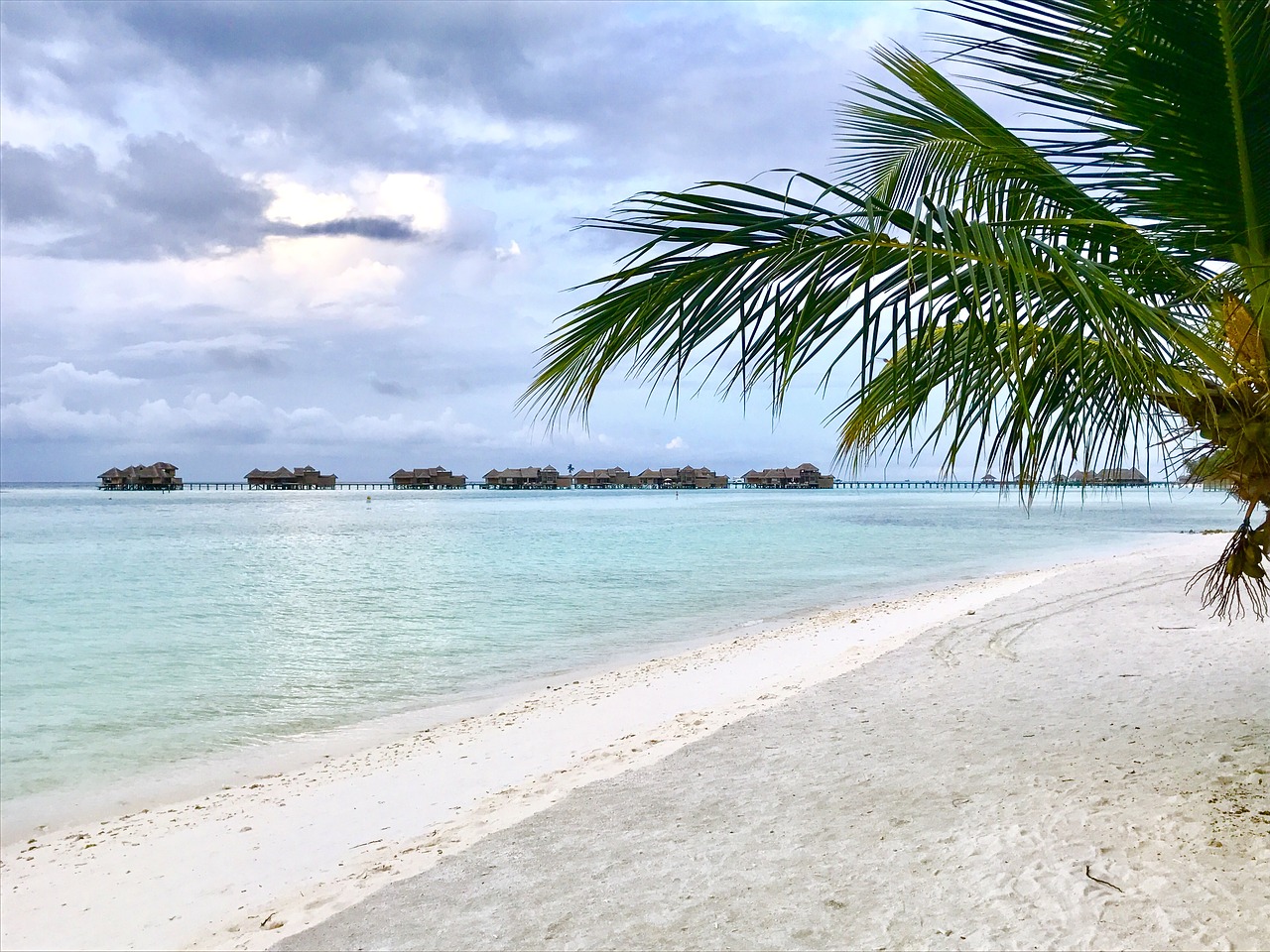 maldives island beach free photo