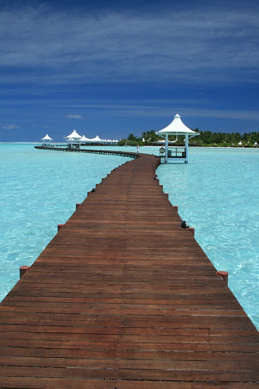 maldives travel indian ocean free photo