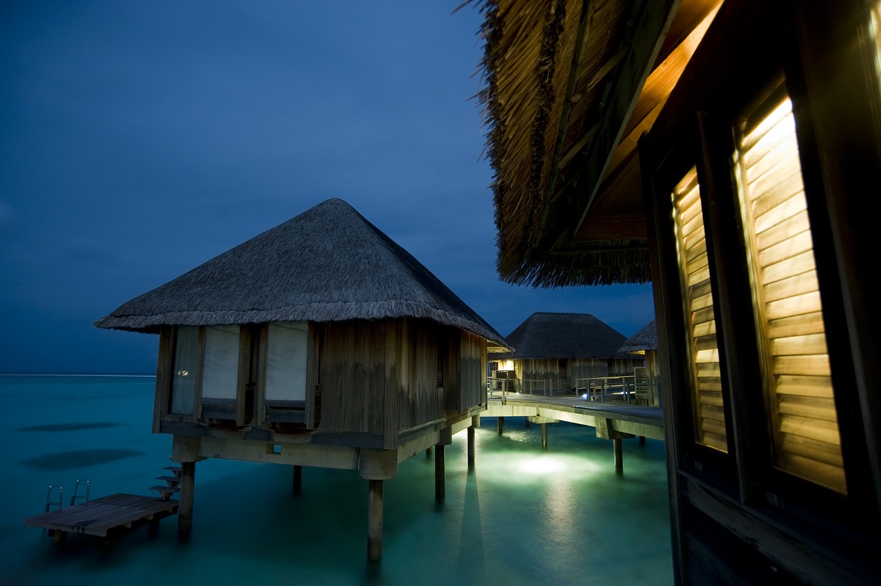 maldives summer night free photo