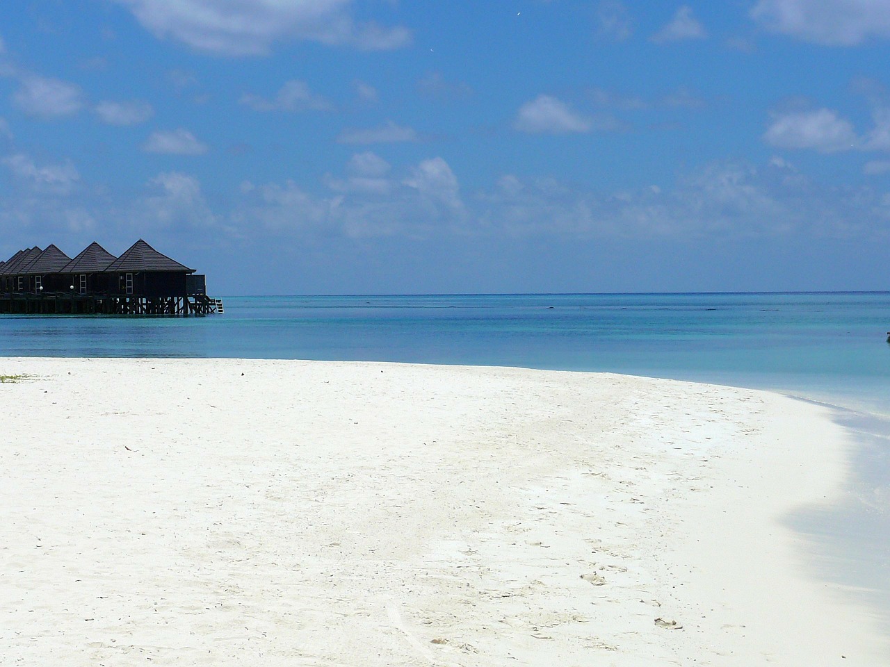 maldives beach ocean free photo