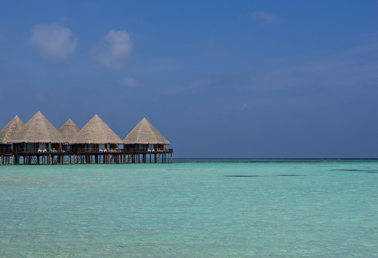 maldives ari atoll sea free photo