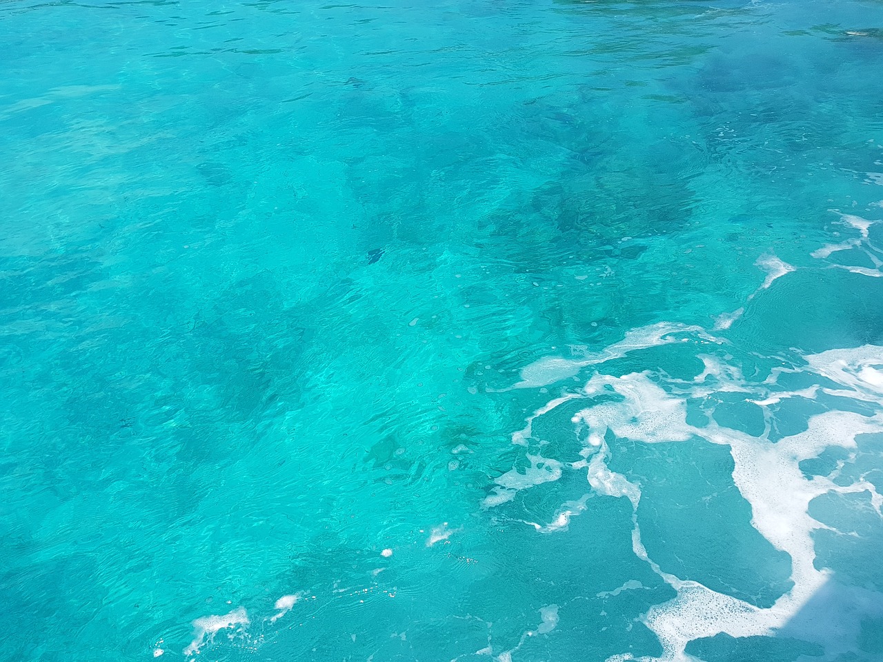 maldives sea blue free photo