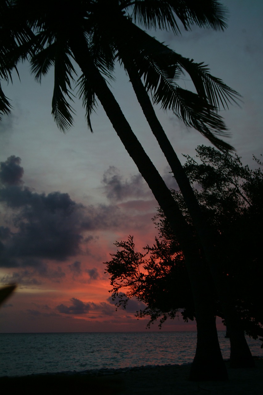 maldives beach sunset free photo