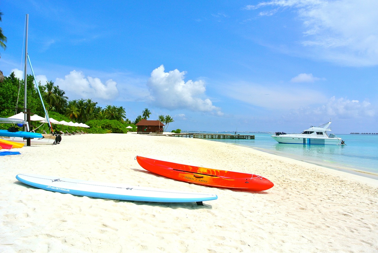 maldives coconut tree sea free photo