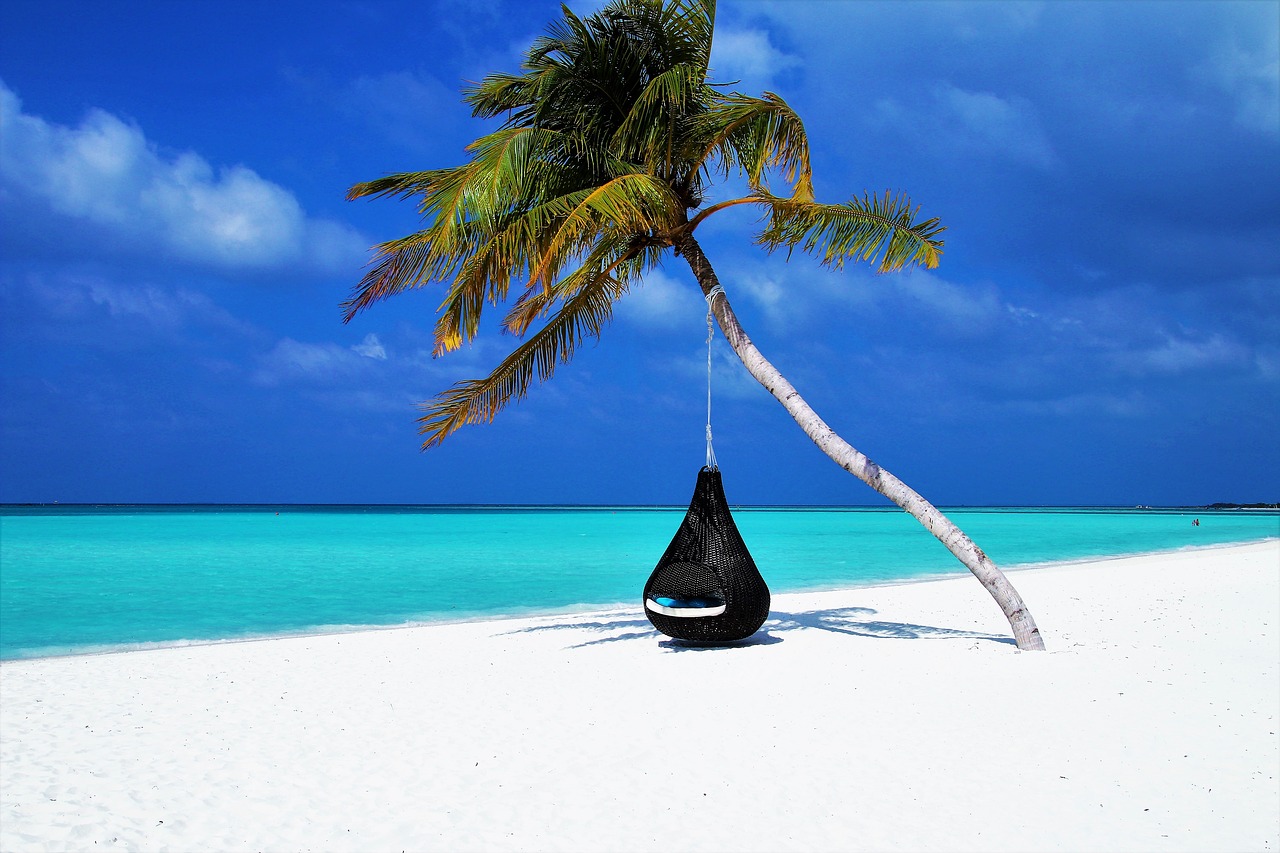 maldives palma beach free photo