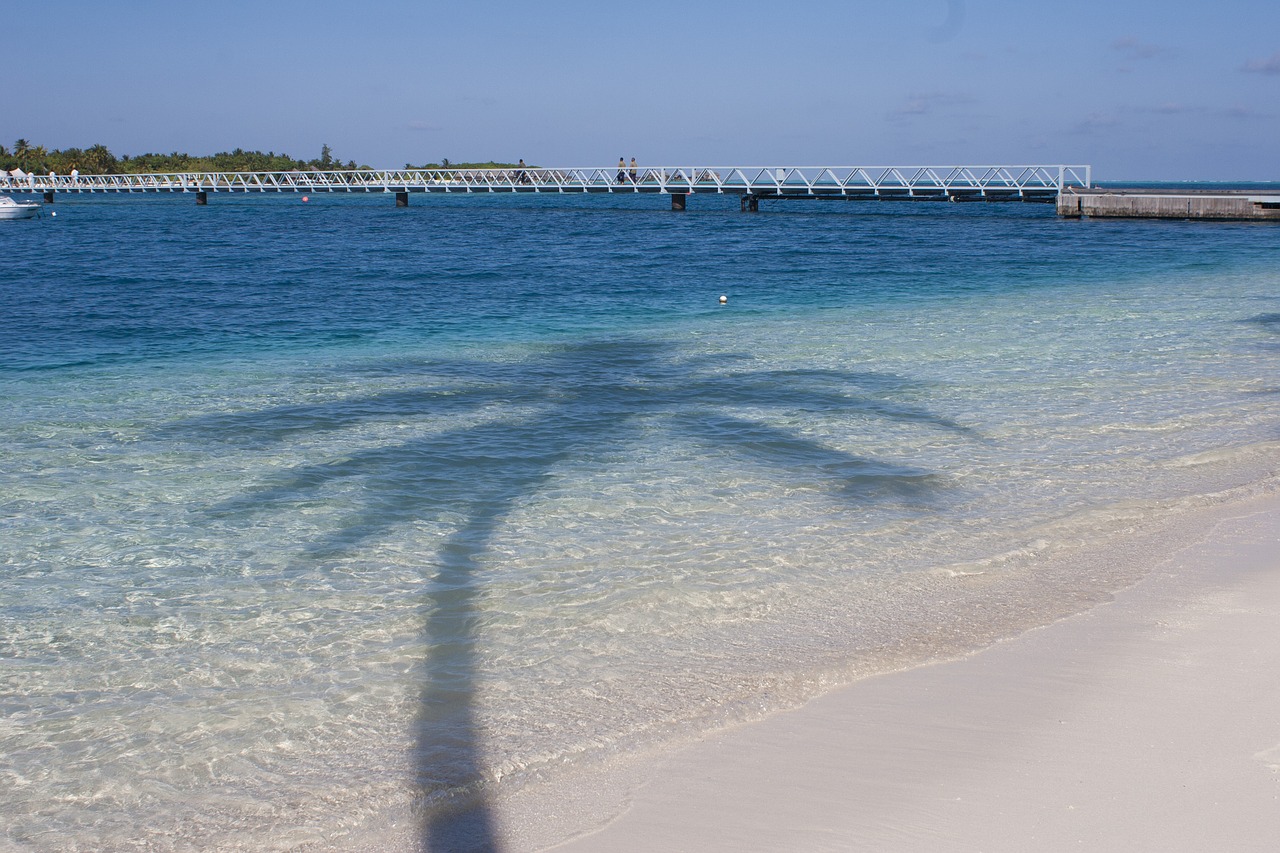 maldives  beach  conrad free photo