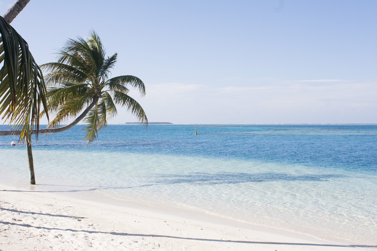 maldives  beach  conrad free photo