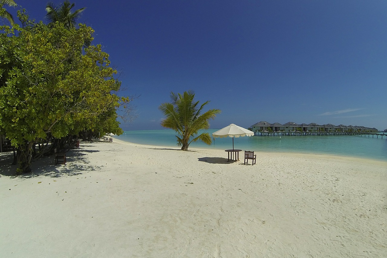 maldives beach idyll free photo