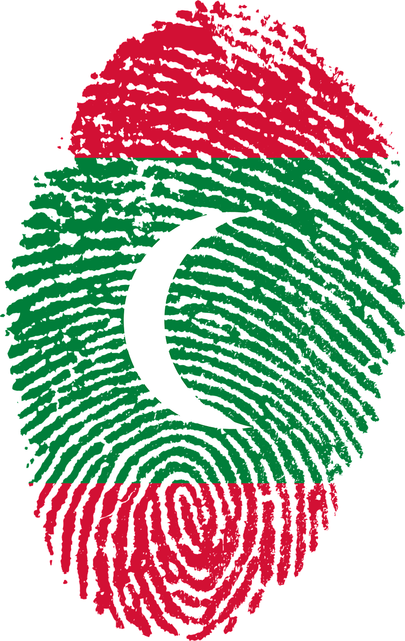 maldives flag fingerprint free photo