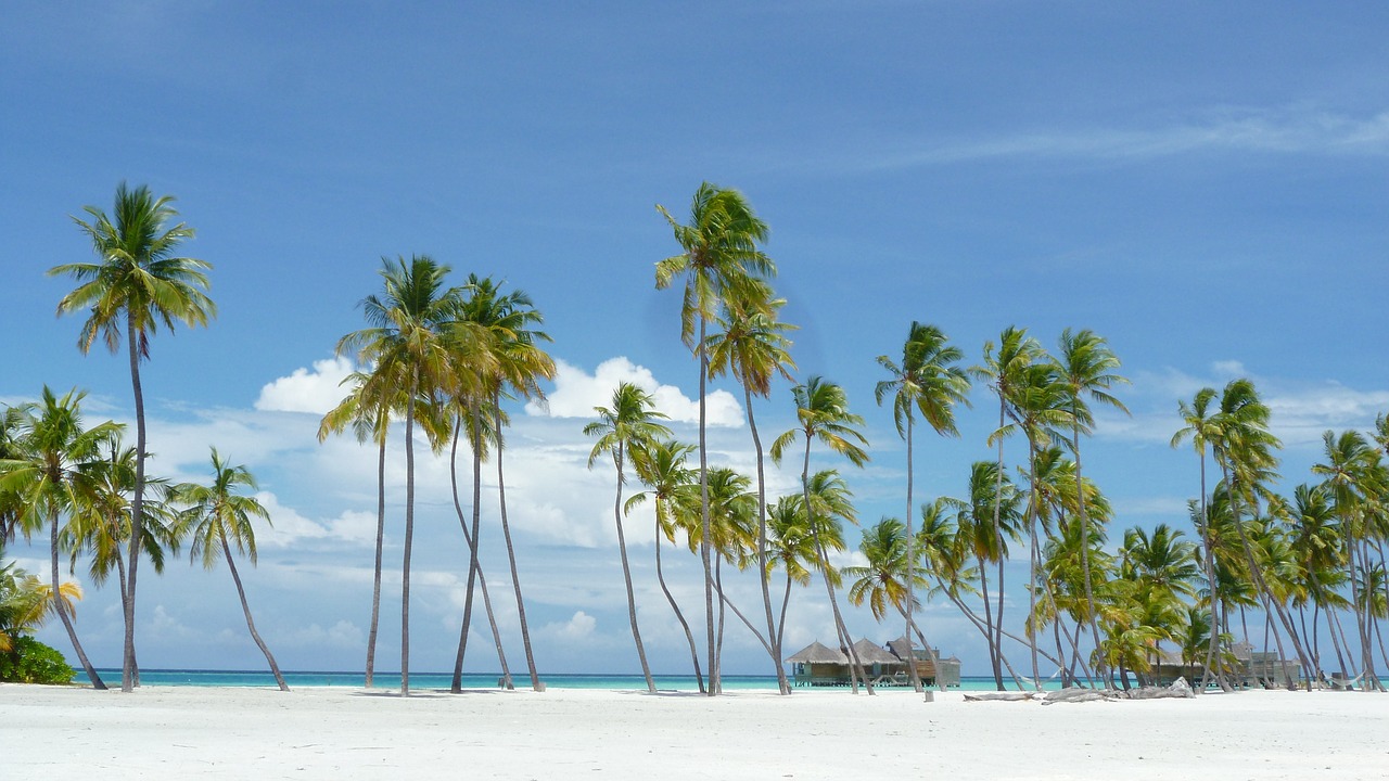 maldives island paradise beach free photo