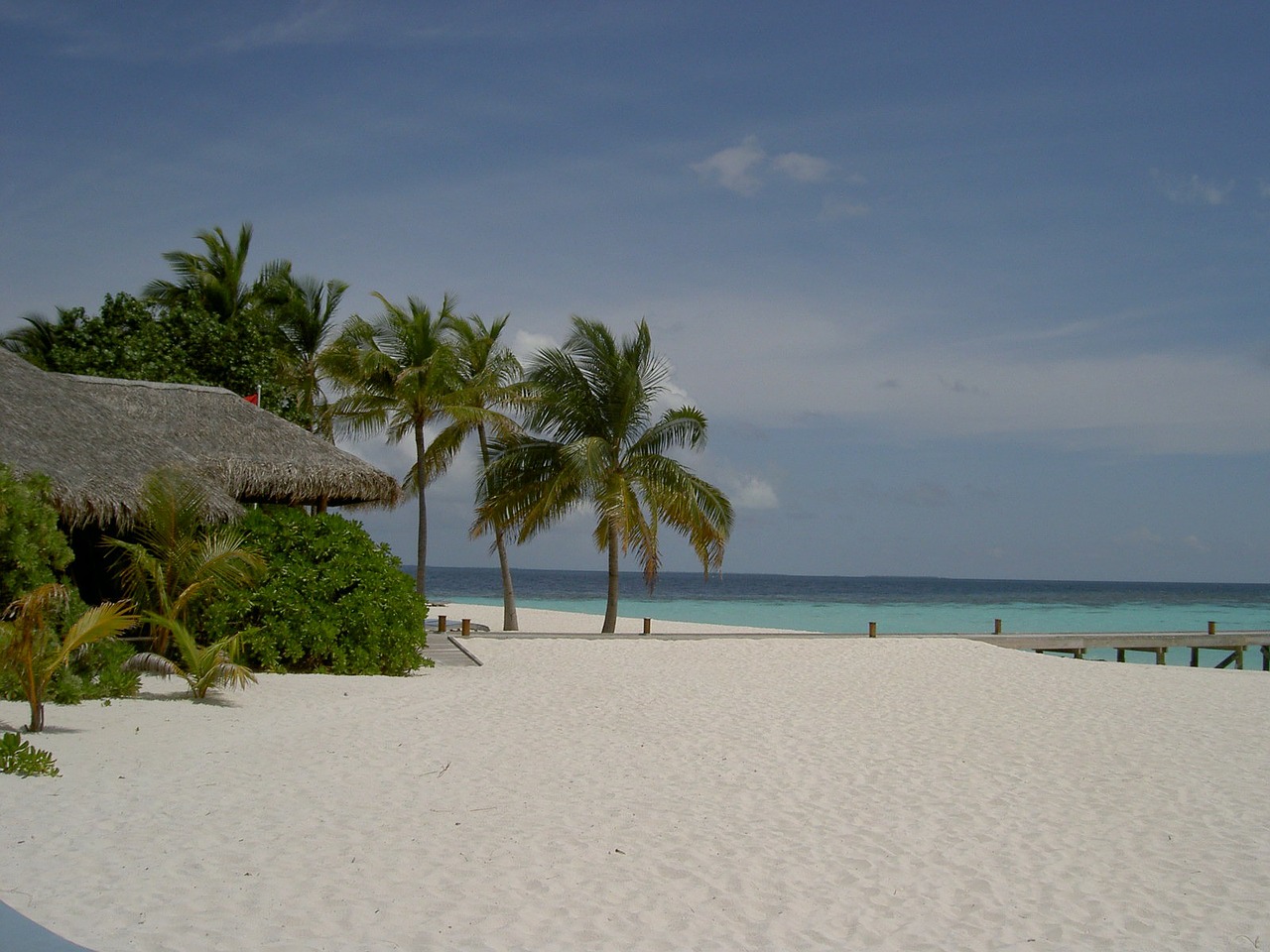 maldives mirihi beach free photo