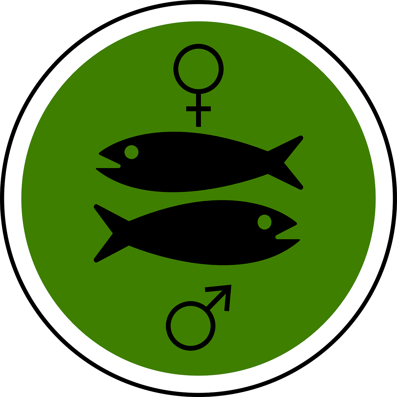 male female fish free photo