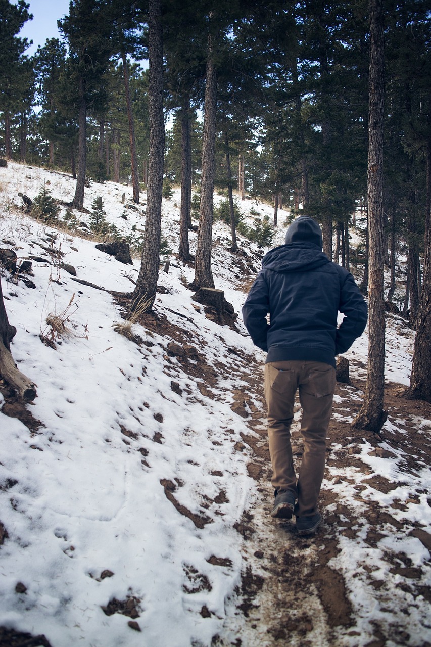 male hiking forest free photo