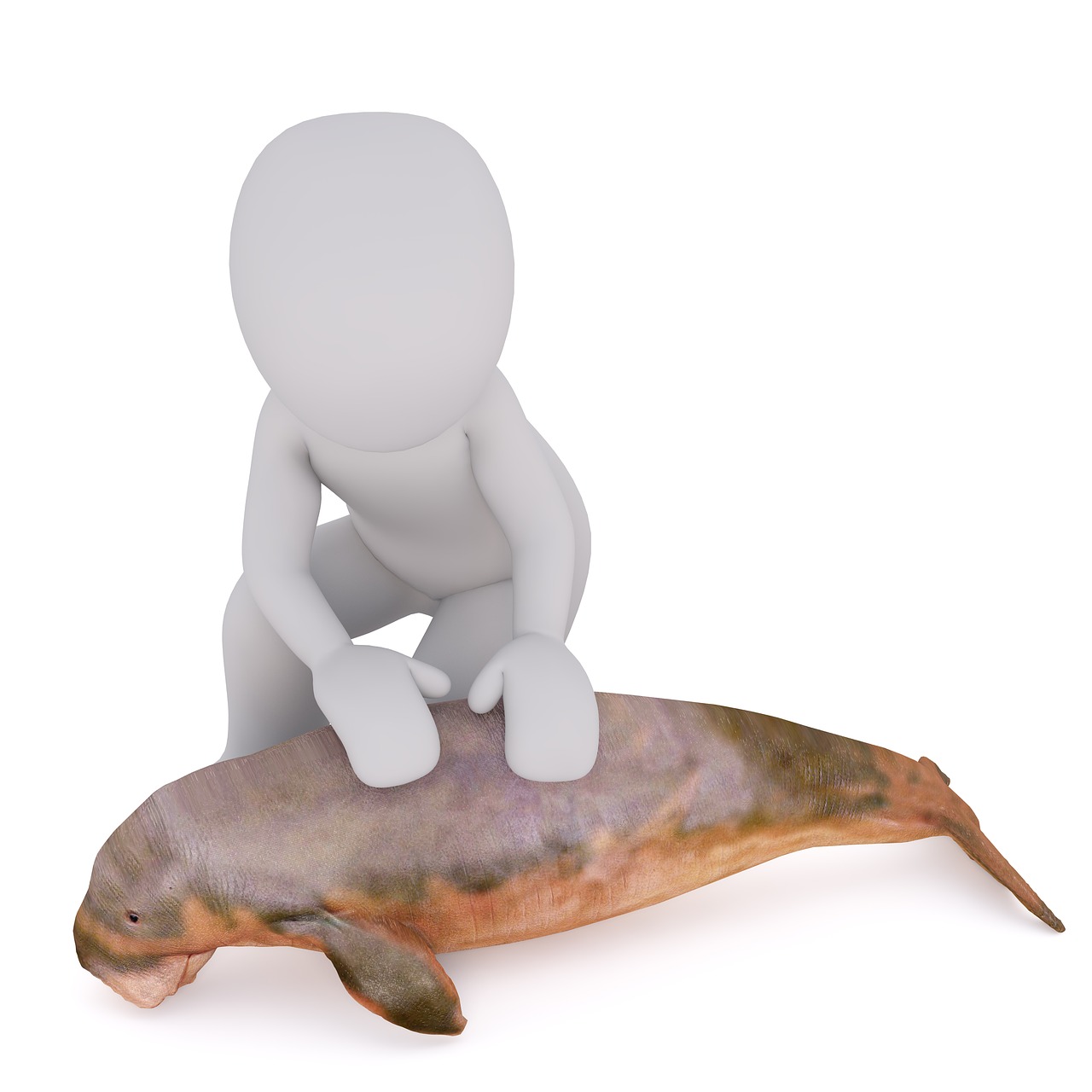 males 3d model isolated free photo