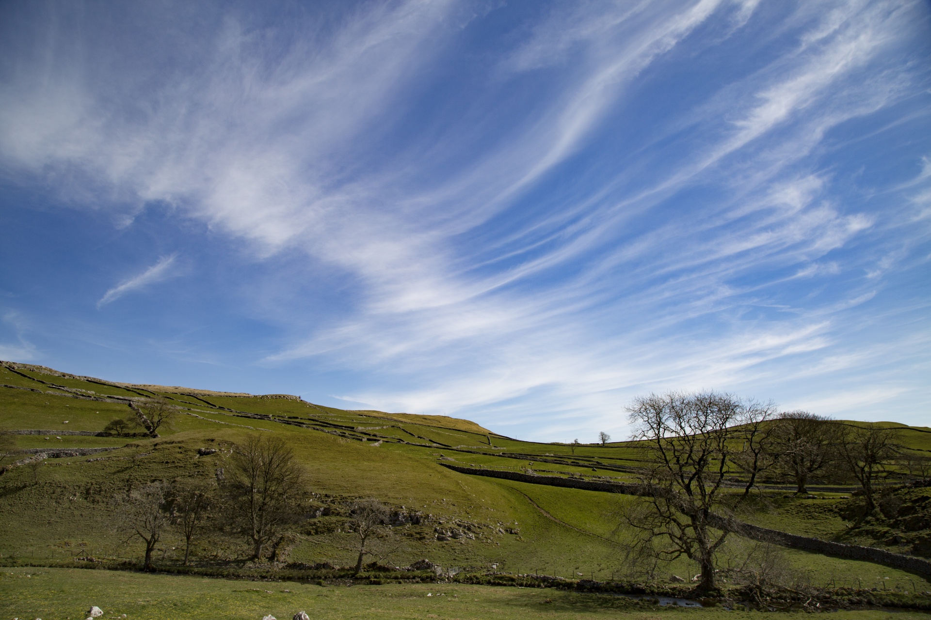 cove dales fields free photo