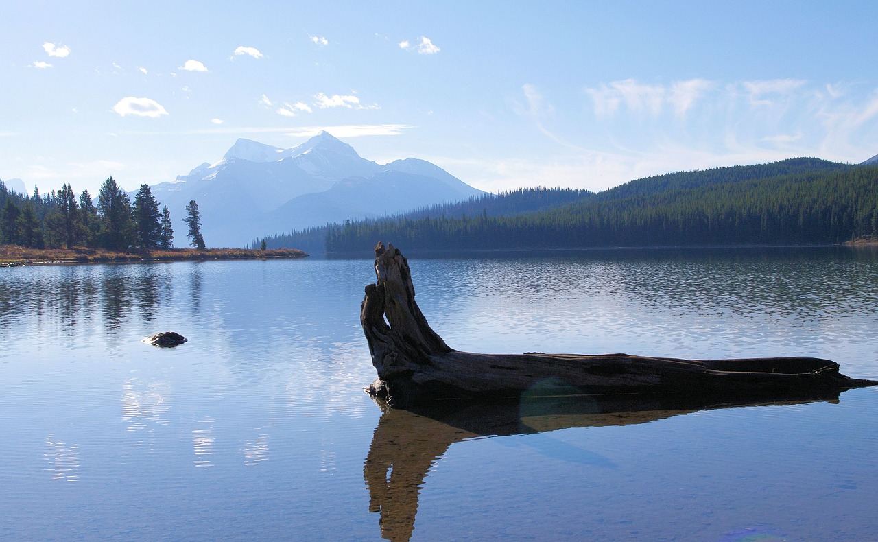 maligne lake alberta canada free photo