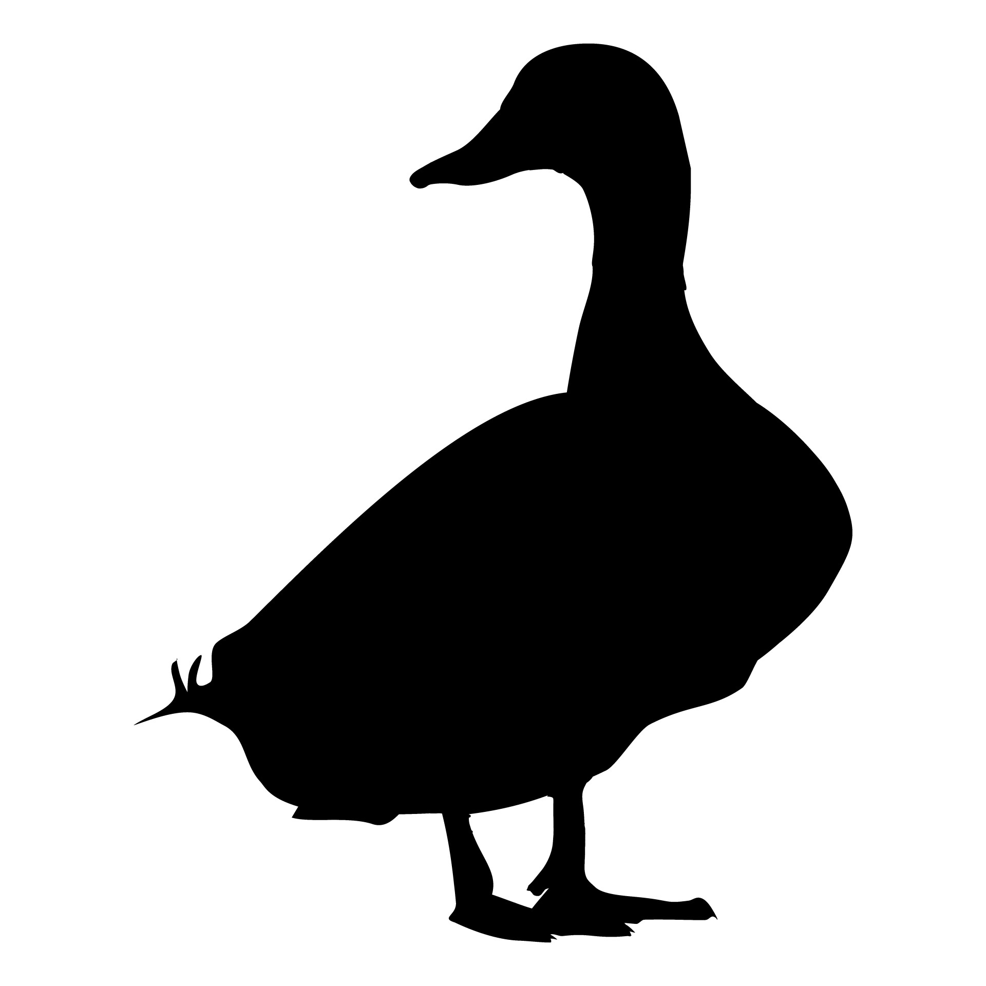 silhouette quack profile free photo