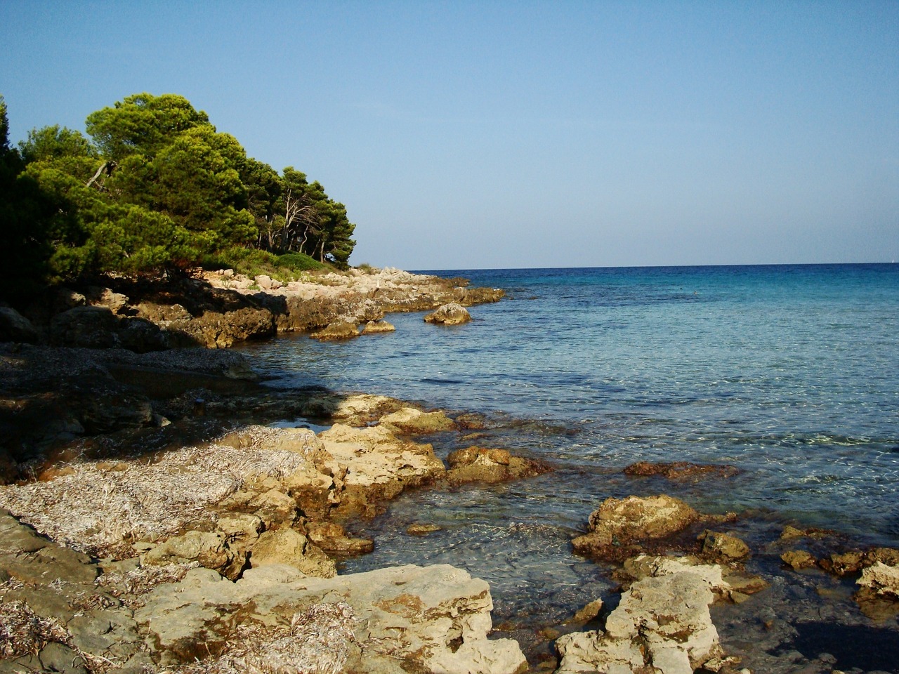 mallorca holiday beach free photo