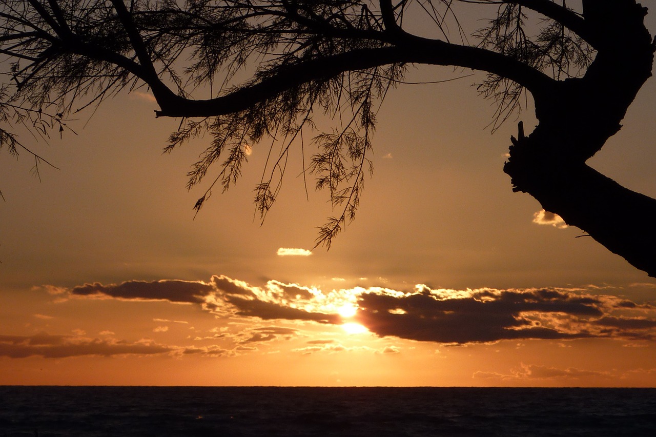 mallorca sea sunset free photo