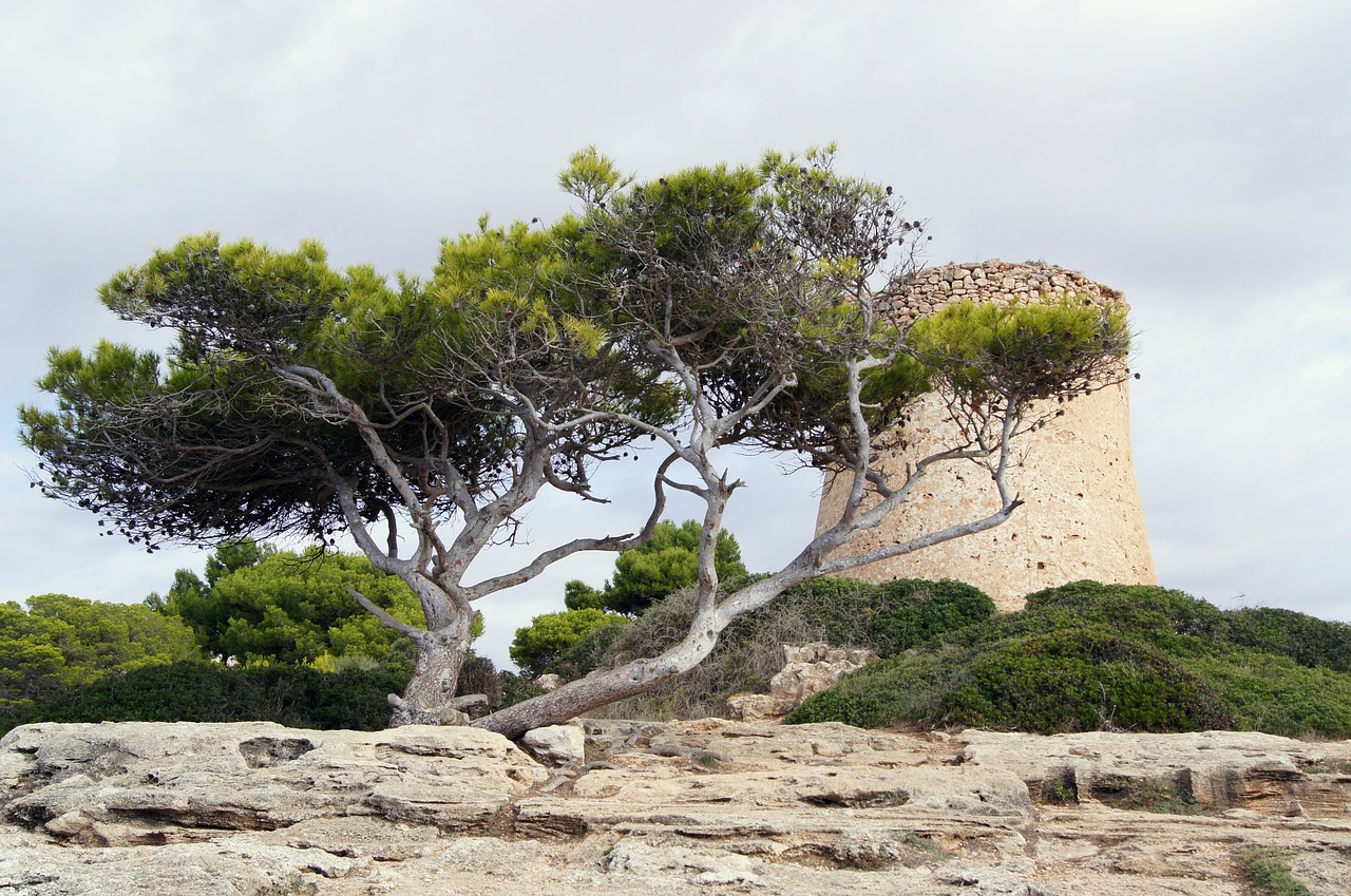 mallorca pirates landscape free photo