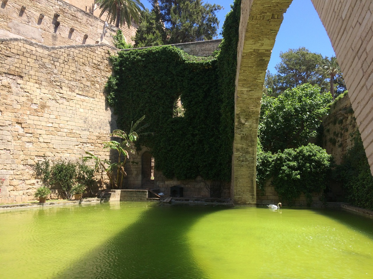 mallorca holiday cathedral free photo