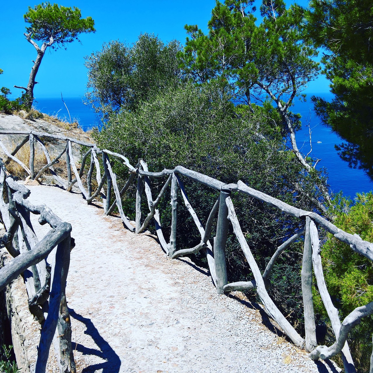 mallorca palma de mallorca sea view free photo