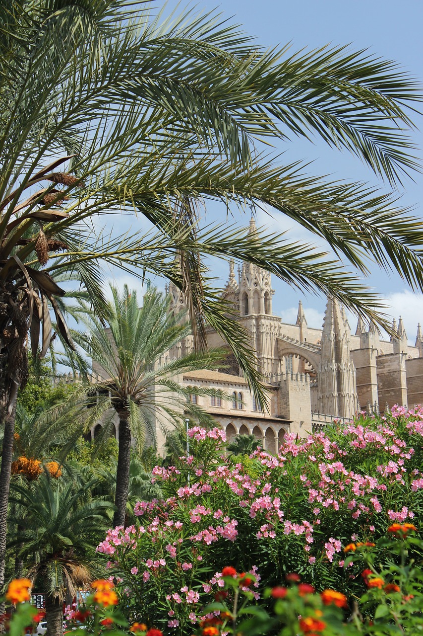 mallorca cathedral church free photo