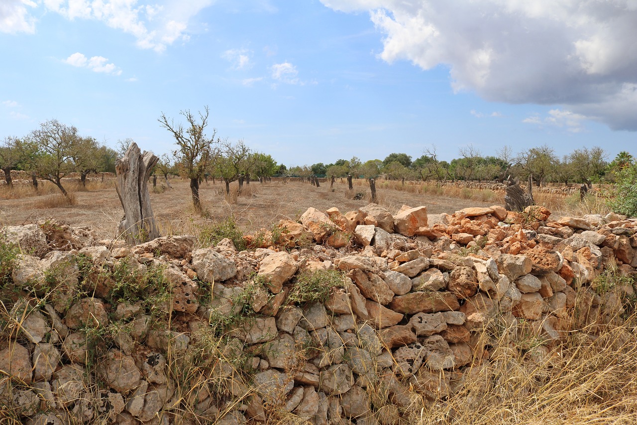 mallorca landscape stone wall free photo