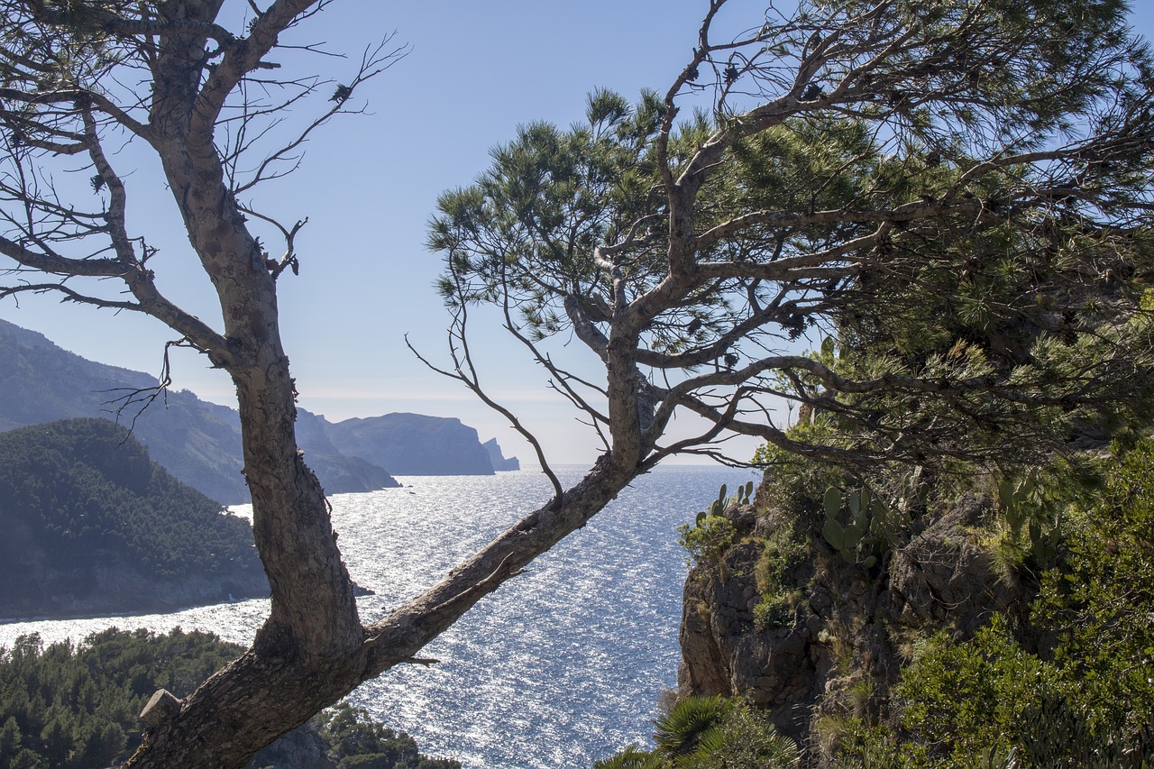 mallorca banyalbufar sea free photo