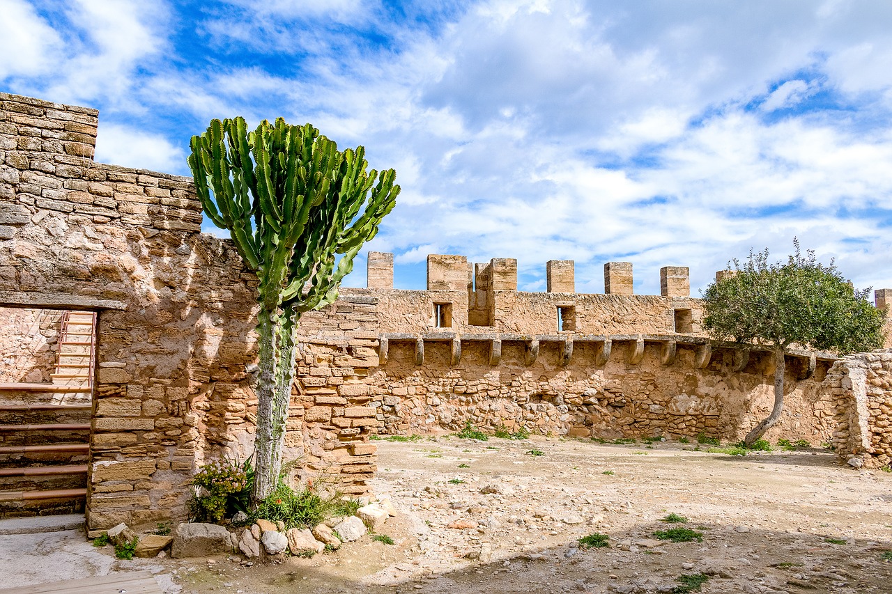 mallorca capdepera castle free photo