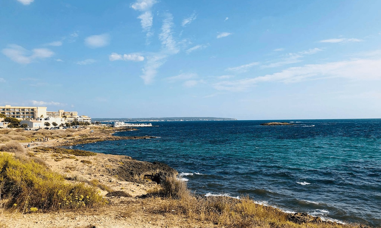 mallorca  sea view  vacations free photo