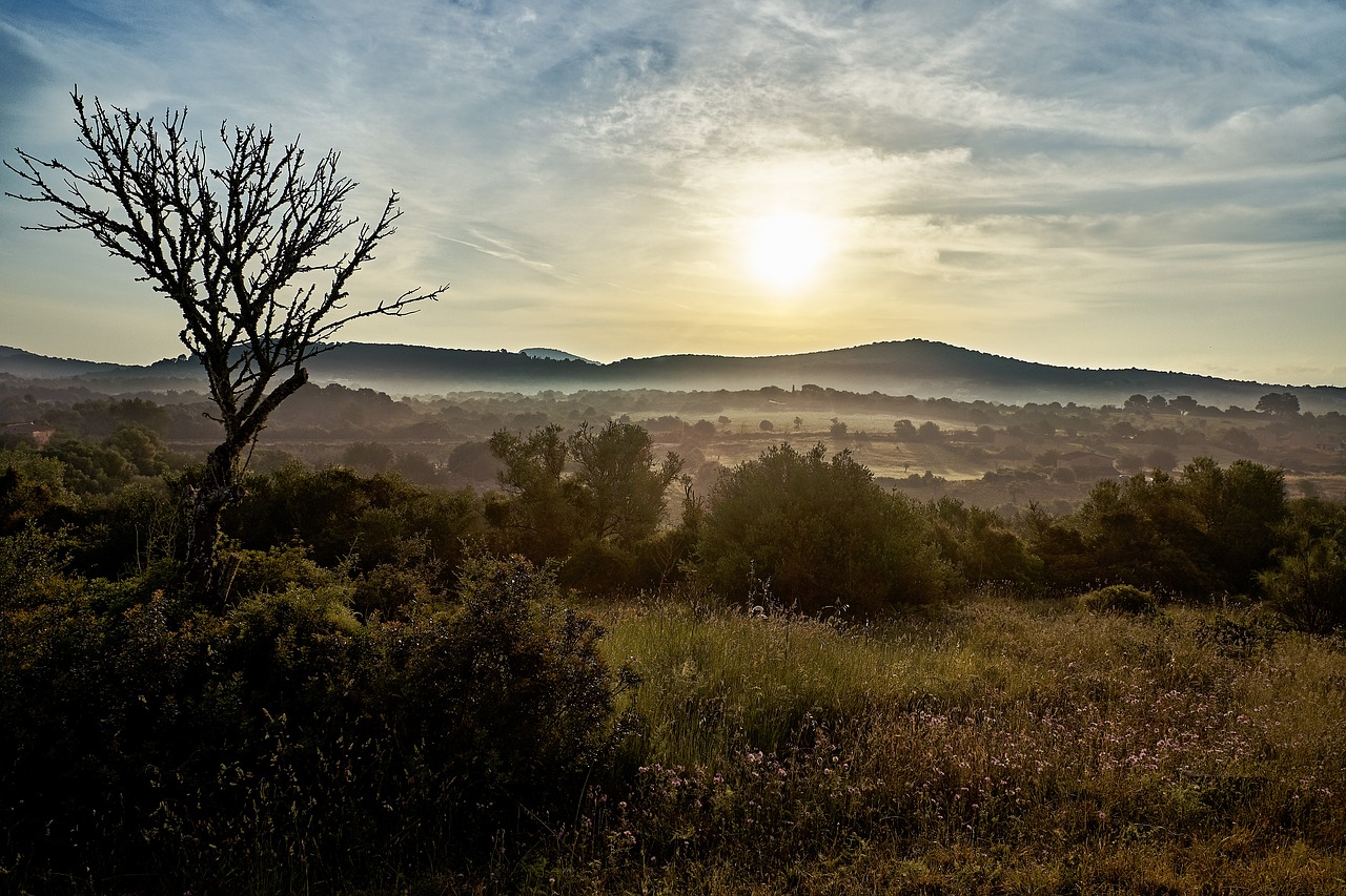 mallorca  nature  sunrise free photo