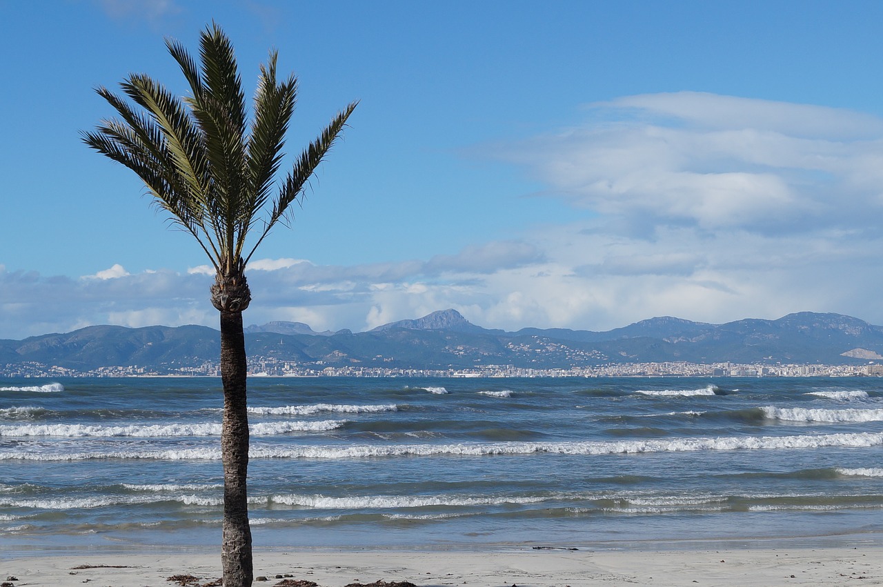 mallorca winter playa de palma free photo
