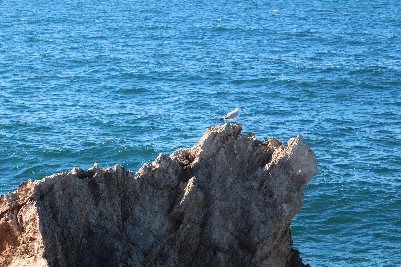 mallorca landscape mediterranean free photo